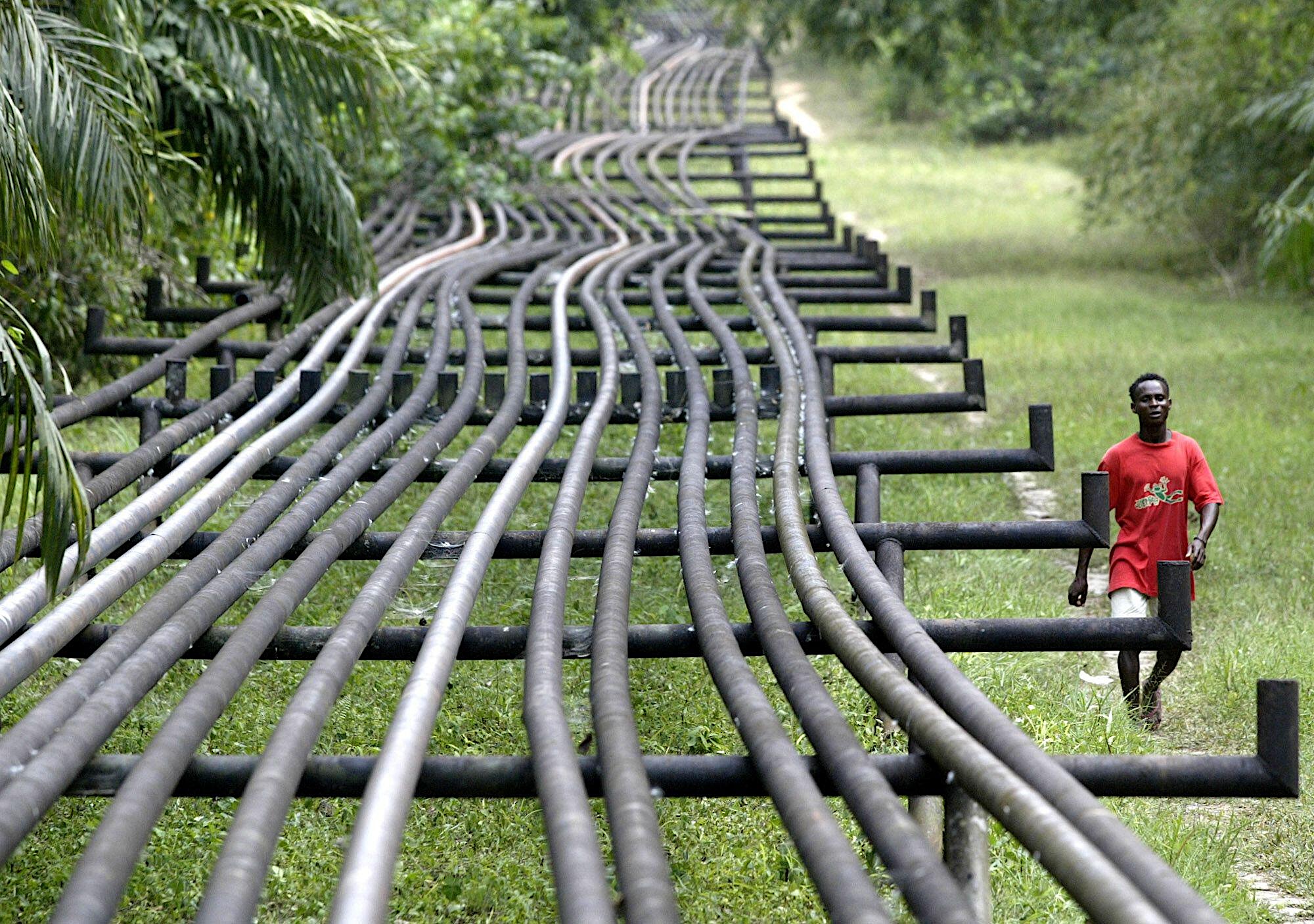 <p>Oil pipelines in Obrikom, Nigeria (Image: George Osodi / Associated Press / Alamy)</p>
