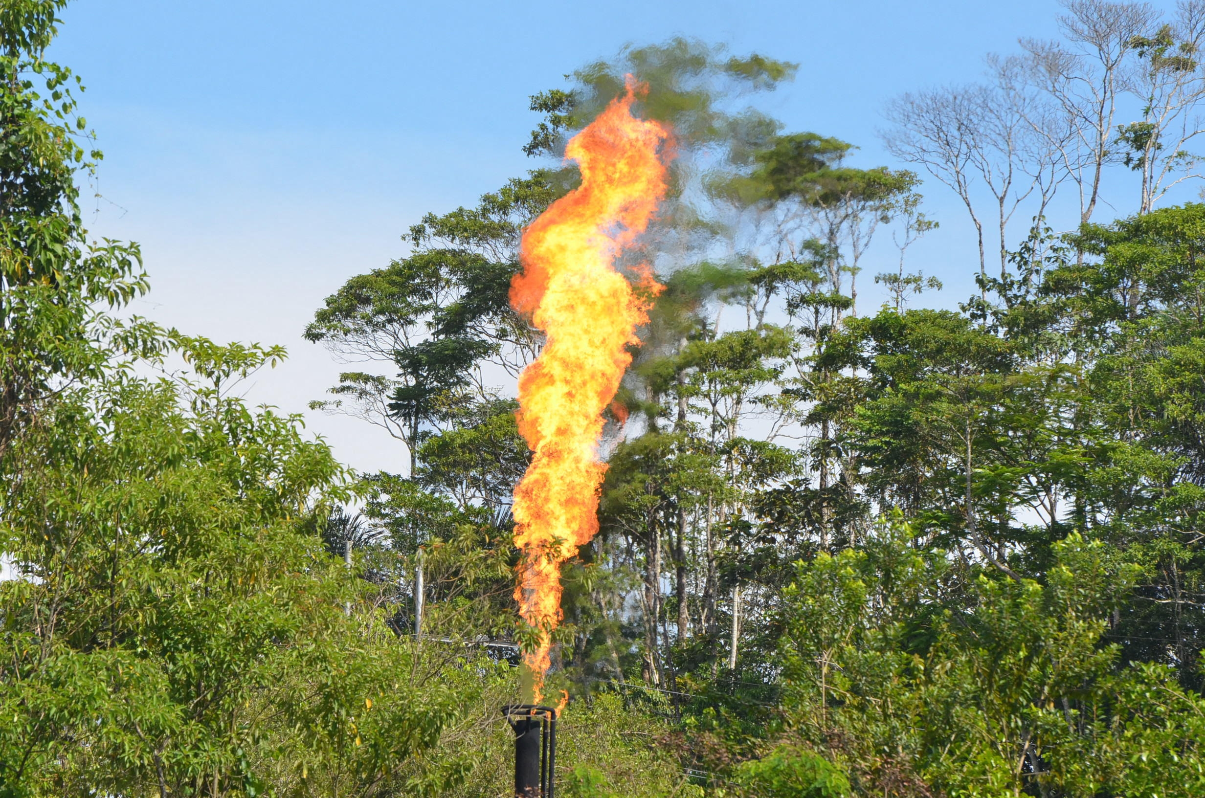 <p>Flare de gás perto do Parque Nacional Yasuni, no Equador. A extração de petróleo na área continua, apesar do referendo de 2023 que proibiu a exploração no parque (Imagem: Georg Ismar / dpa / Alamy)</p>