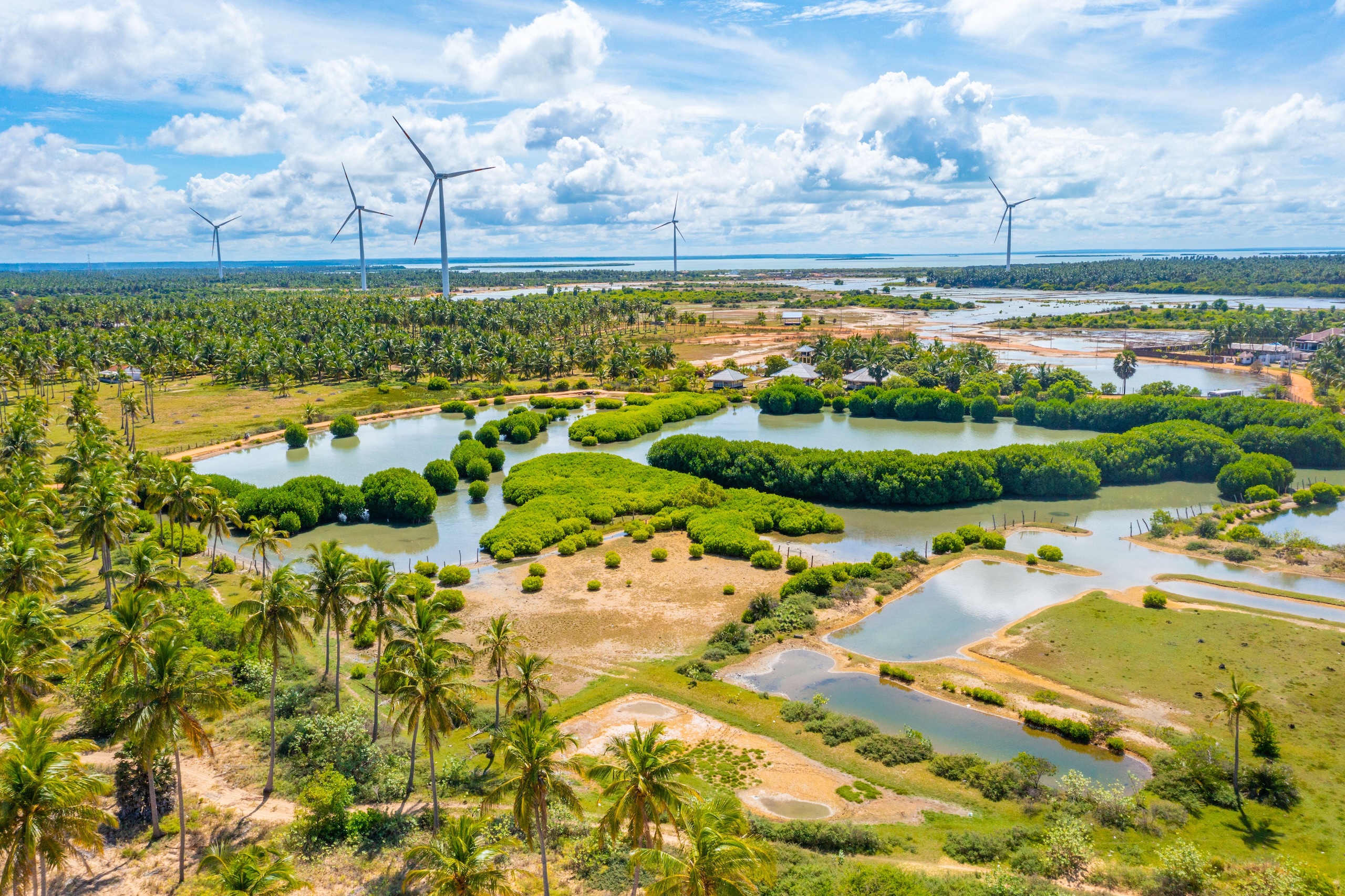 <p>Agricultural fields overlooked by wind power turbines at Kalpitiya in Sri Lanka (Image: Pavel Dudek / Alamy)</p>