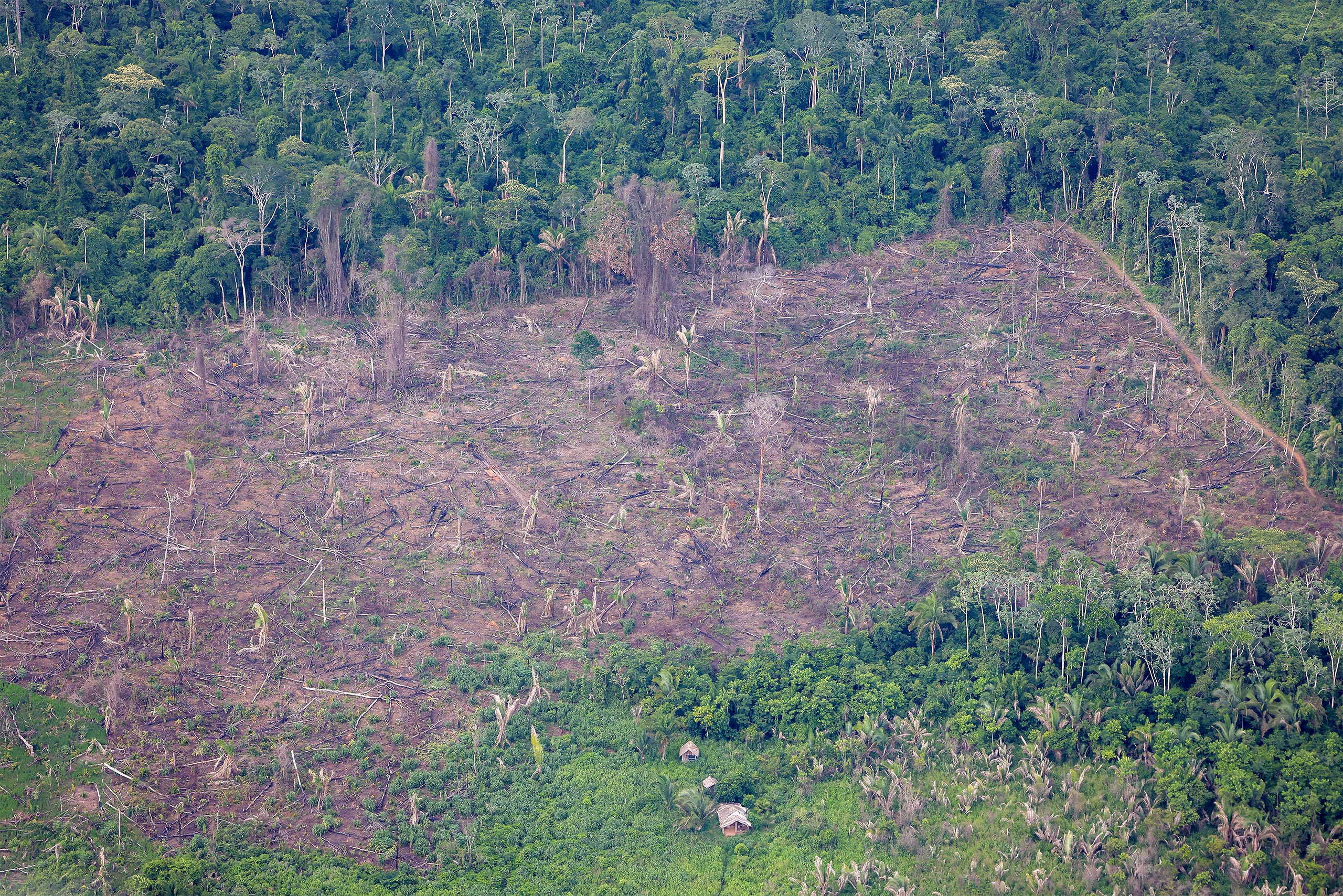 aerial view of deforested area