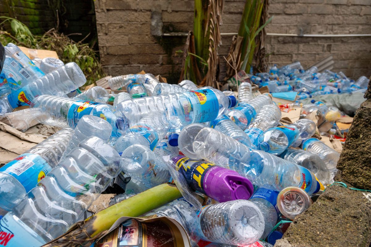 Carbon crossroads: Can Indonesia cut plastic waste and grow its petrochemical industry?