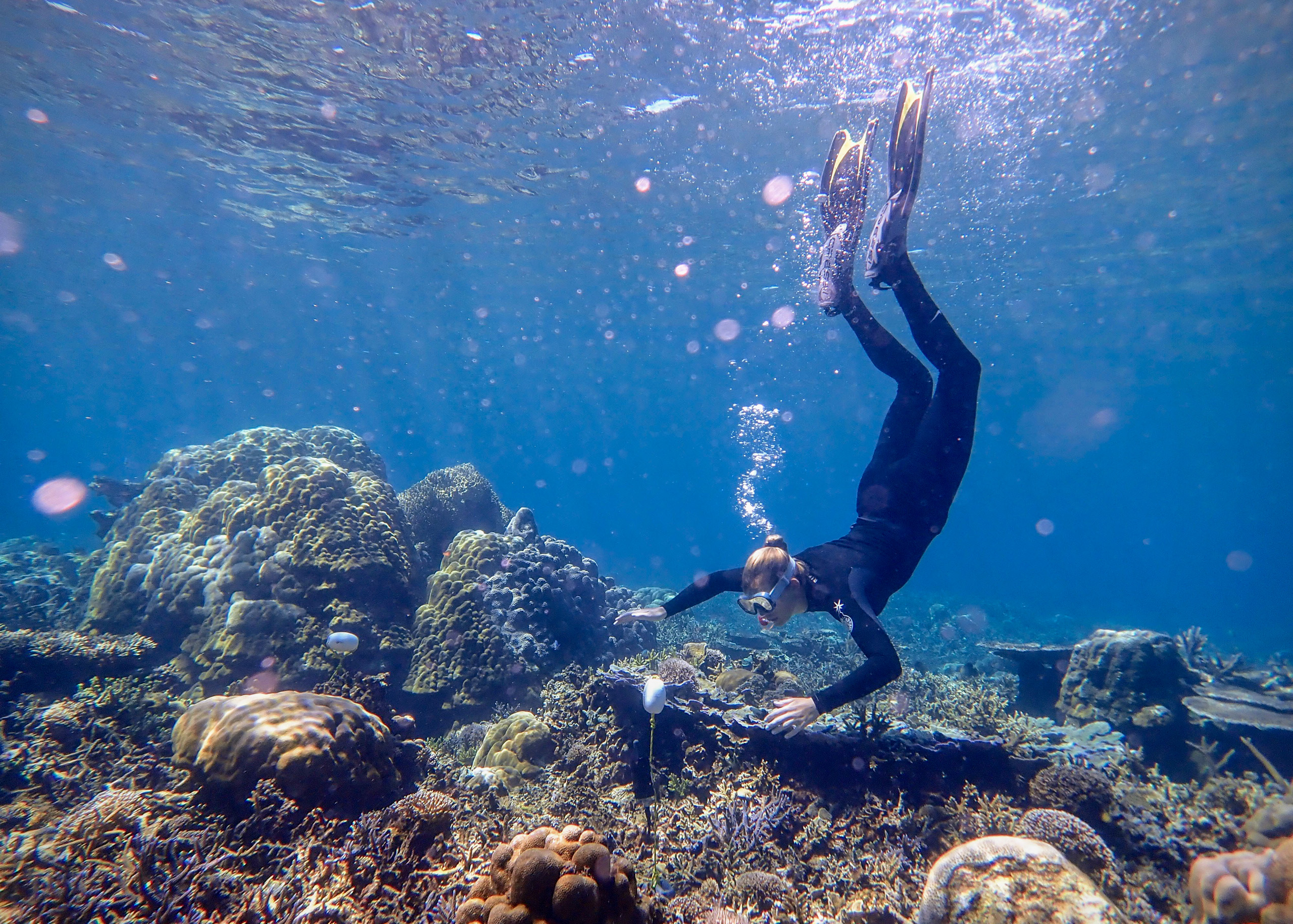 <p>A researcher deploys a hydrophone on a coral reef in Sulawesi, Indonesia (Image: Tim Lamont)</p>
