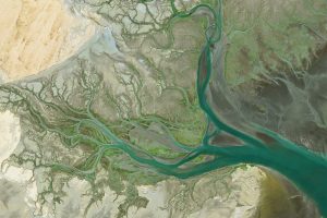 An aerial view of a river delta showing intricate, branching turquoise water channels weaving through light-colored sandy and green marshy terrain.
