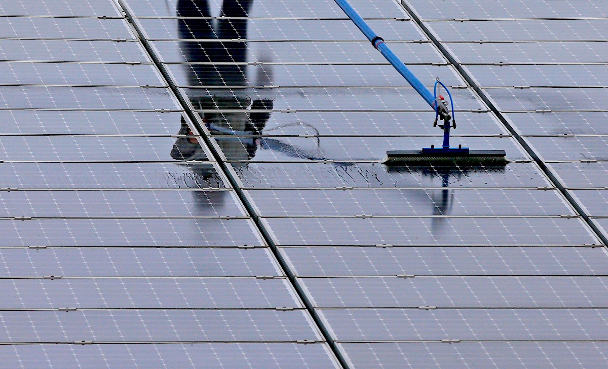 A worker uses a long pole with a brush attachment to clean solar panels