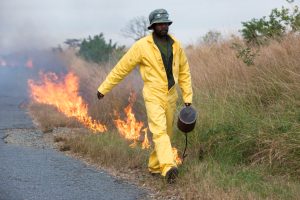 man walking along burning grass at edge of road