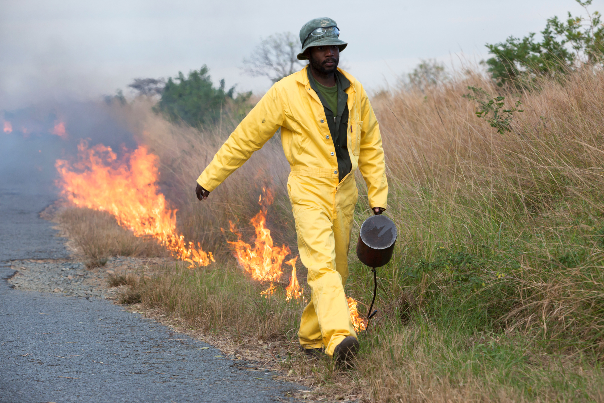 <p>After years of managing threats like bush fires, South Africa has been teaching the UK what it has learned  (Image: Ann and Steve Toon / Alamy)</p>