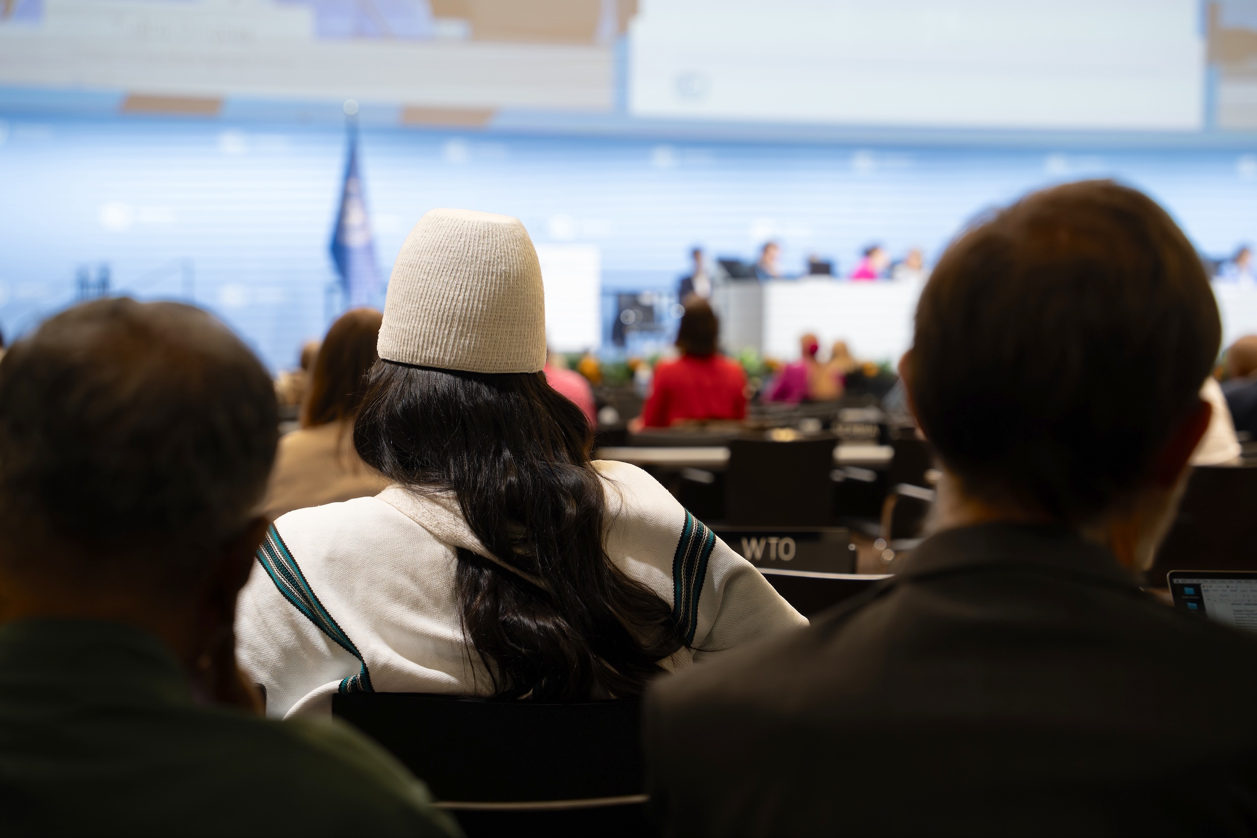 <p>A Colombian member of the Arhuaco Indigenous people attends the June climate meetings in Bonn, Germany. A global roadmap on transitioning away from fossil fuels is expected to be launched at COP31 in November (Image: <a href="https://flic.kr/p/2si5PzE">Lara Murillo</a> / <a href="https://flic.kr/p/2si5PzE">UN Climate Change</a>, <a href="https://creativecommons.org/licenses/by-nc-sa/4.0/deed.pt-br">CC BY NC SA</a>)</p>