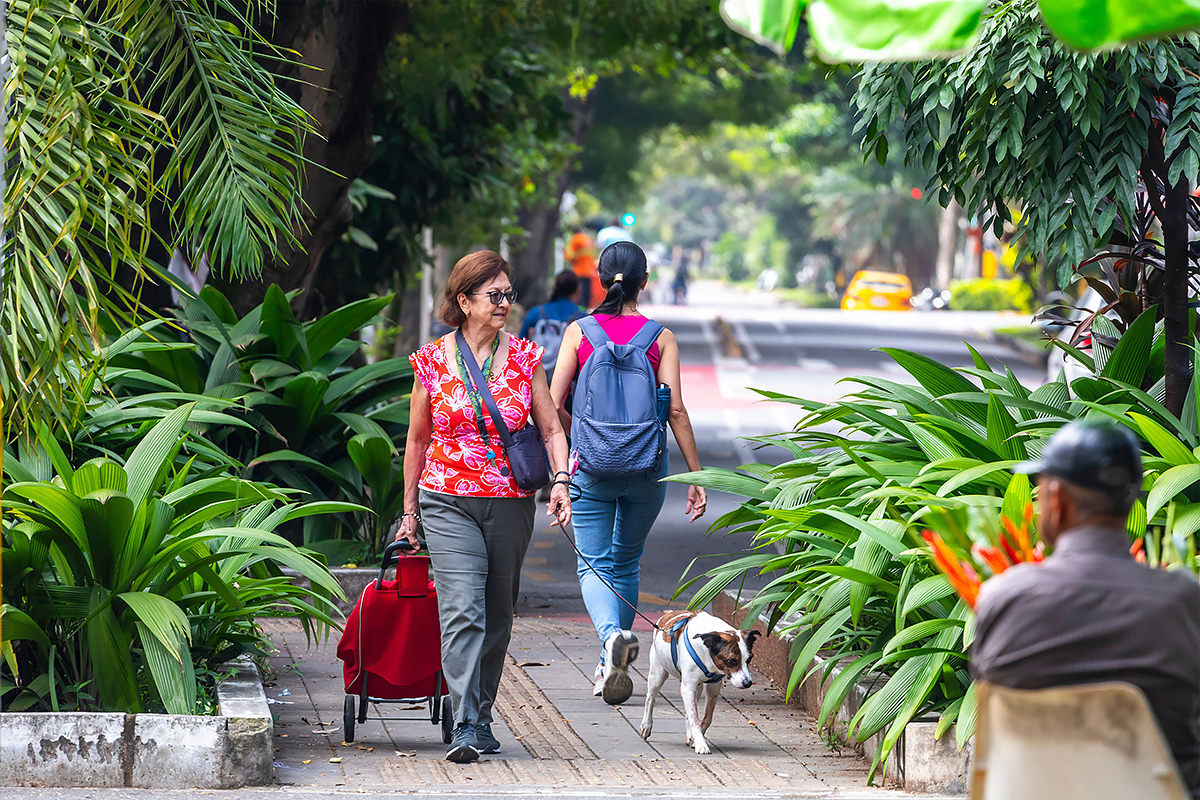 Una mujer paseando a su perro por una calle arbolada