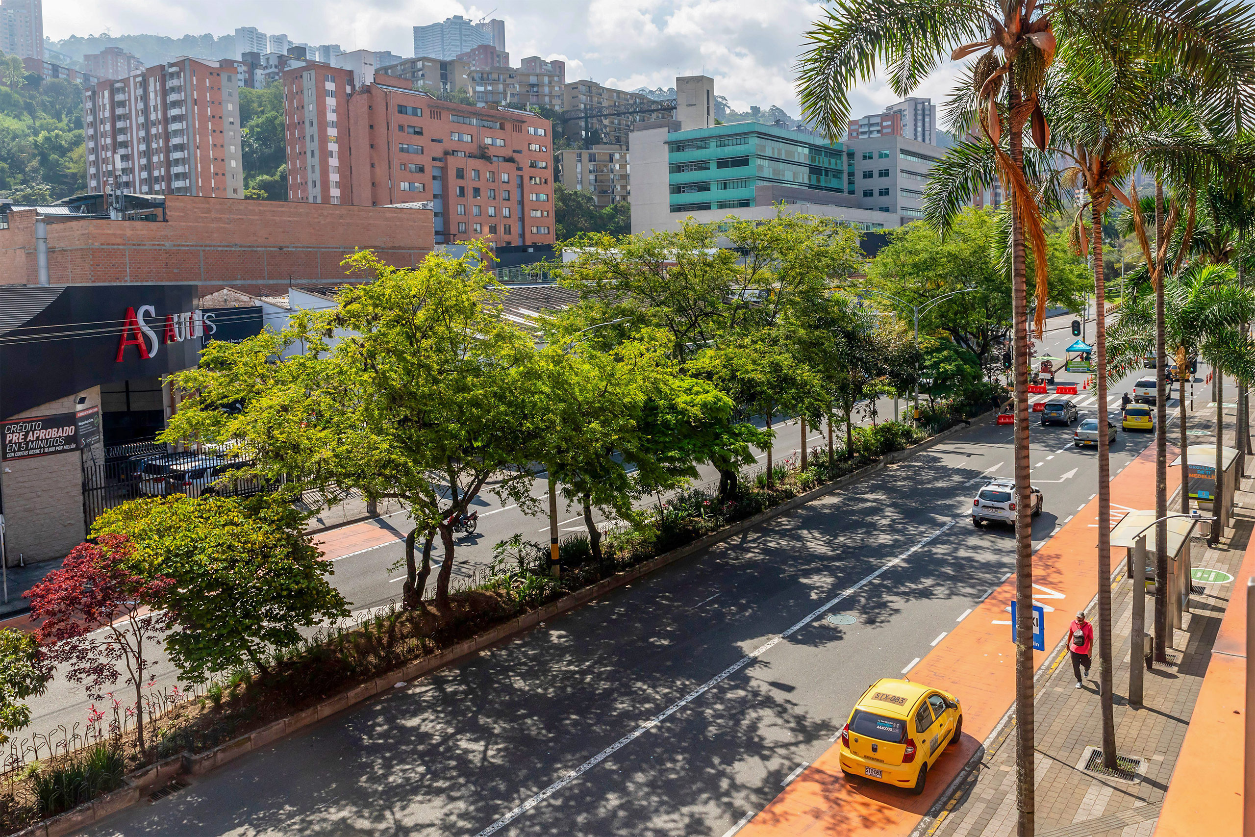 Una calle con árboles en el medio de las dos vías