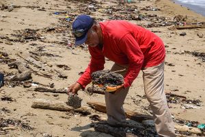 man picking up trash on beach