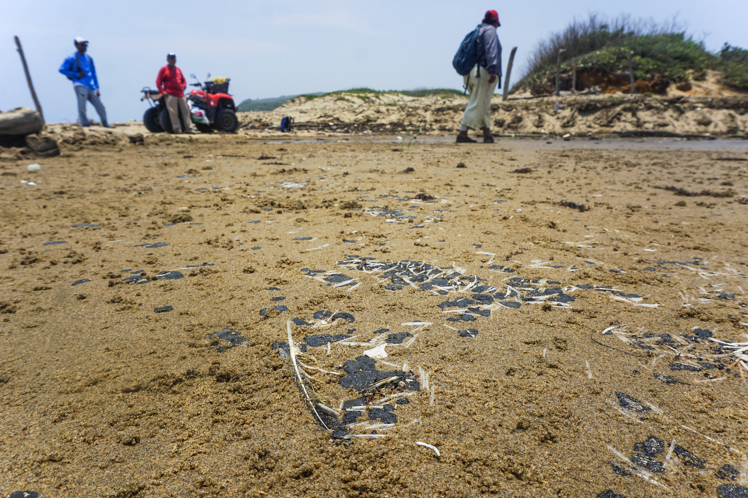 Oil on beach