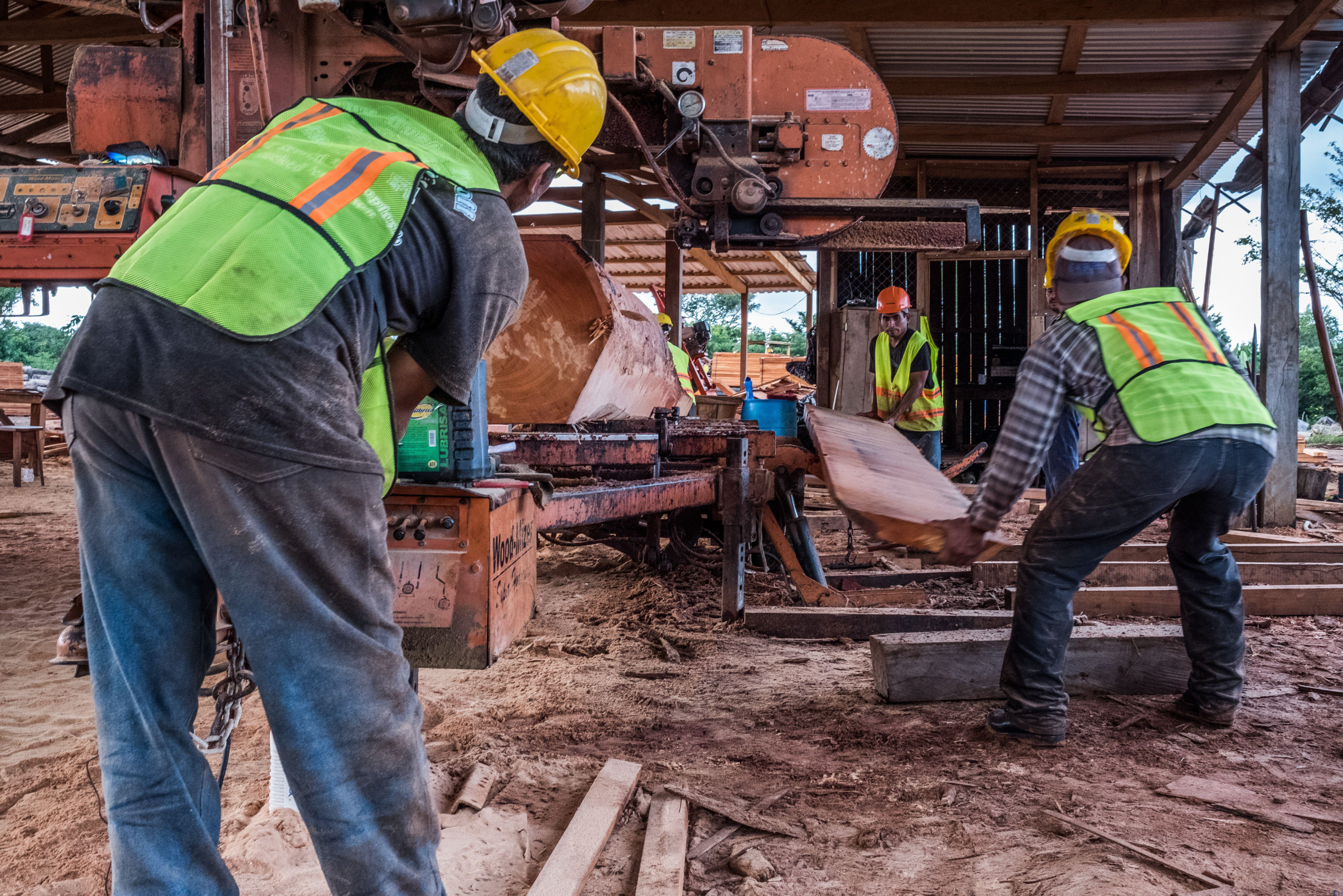 people in protective equipment at sawmill