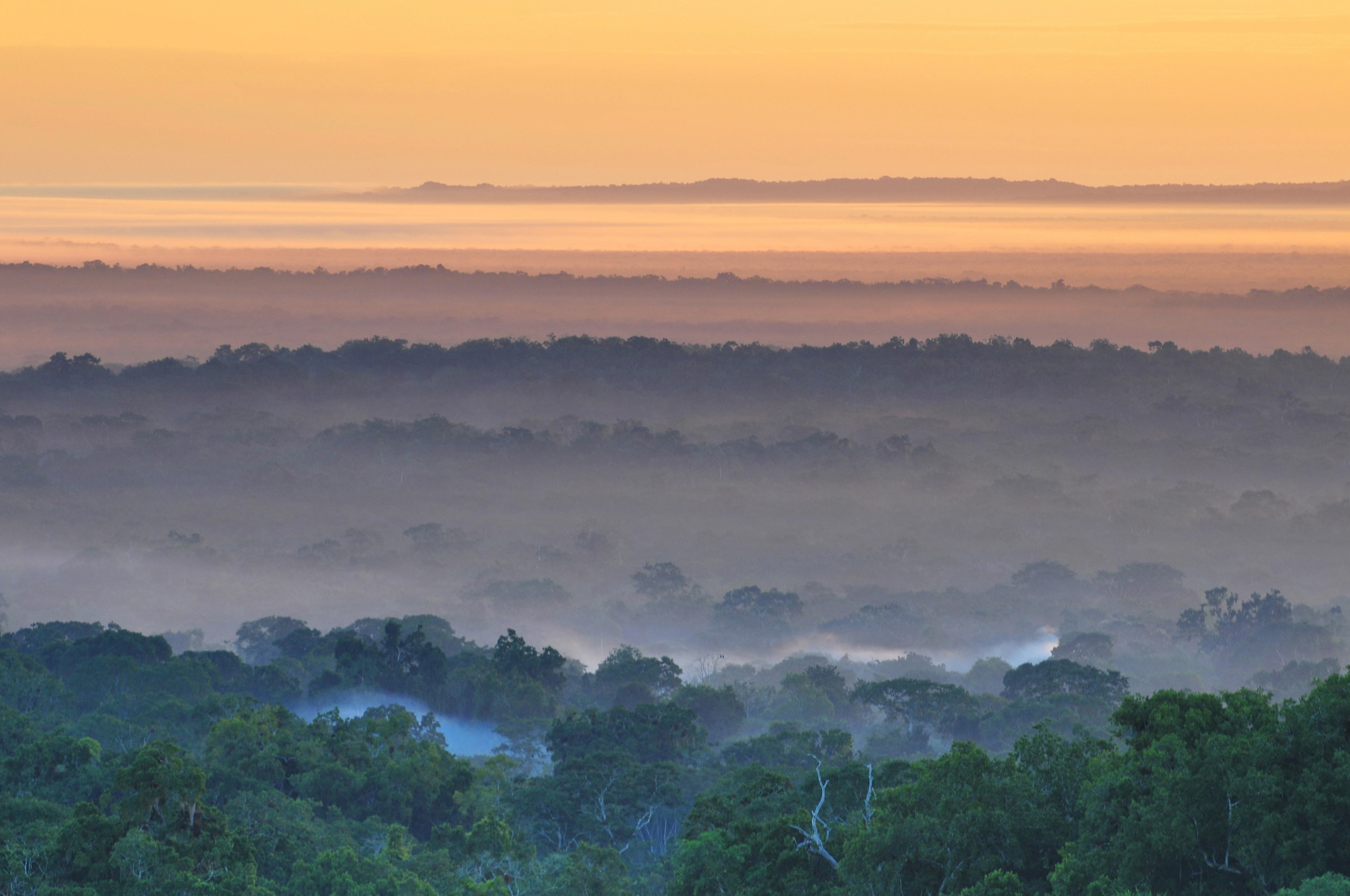 <p>El Parque Nacional Tikal, en Guatemala, forma parte de la Reserva de la Biósfera Maya, cuyo futuro es incierto desde que Estados Unidos suspendió los fondos internacionales para el desarrollo en 2025 (Imagen: BE&amp;W agencja fotograficzna Sp. z o.o. / Alamy)</p>