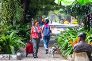 People walk along a green, tree-lined sidewalk