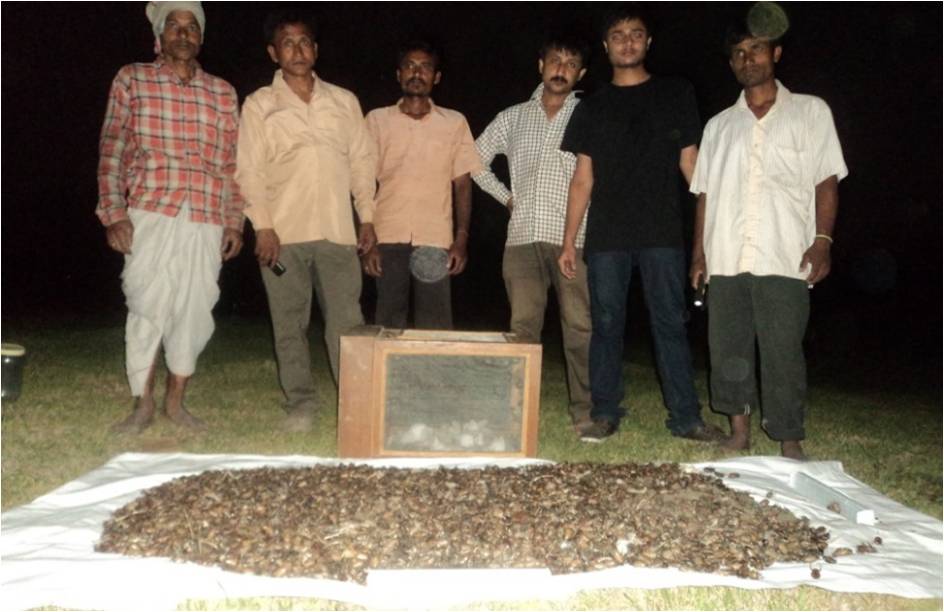 Farmer groups posing with the captured beetles [image courtesy AINSAP]