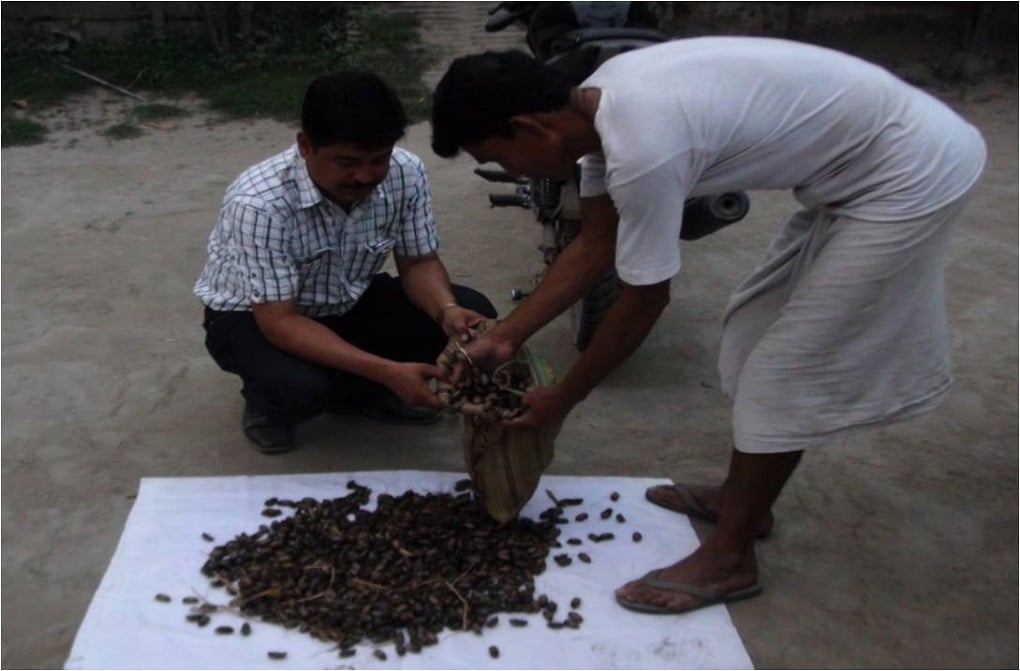 Badal Bhattacharyya advising a farmer on how to deal with the beetle [image courtesy AINSAP]