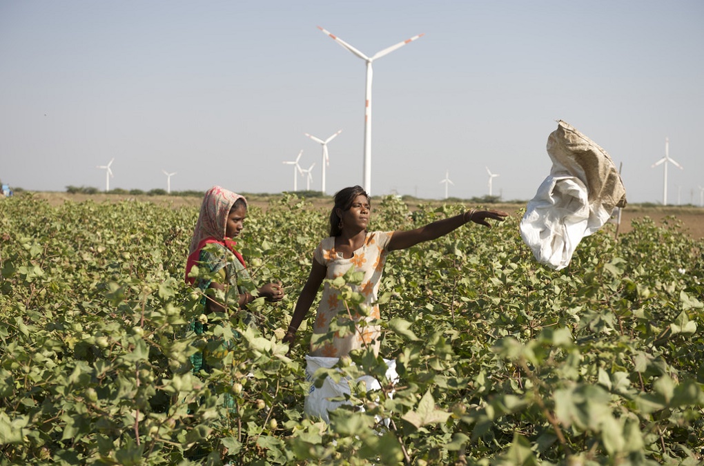 Women farmers at a wind farm in Kutch [image by Danish Wind Industry Association / Flickr]