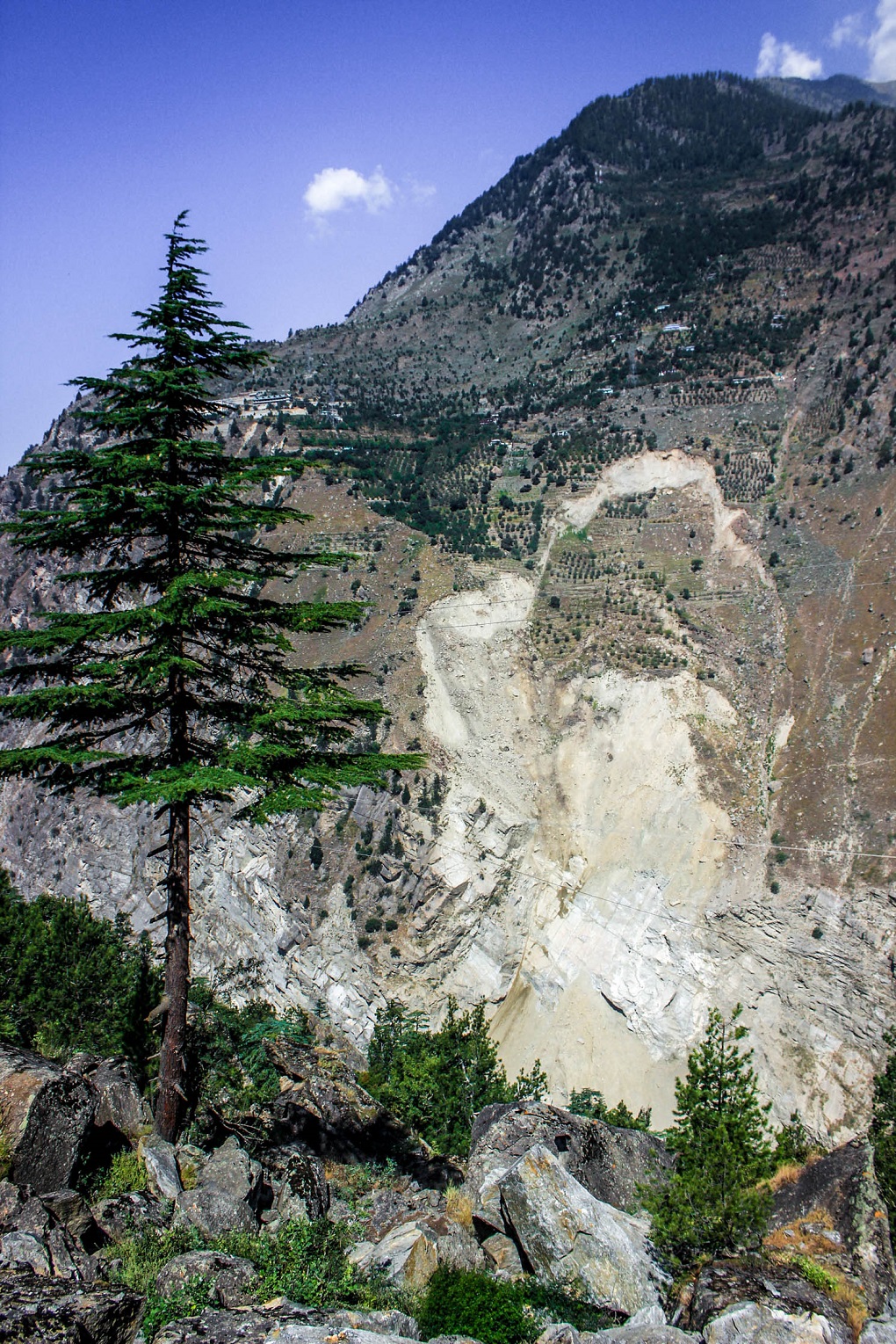 Urni landslide near tunnel for 1,200 MW Karcham Wangtoo project [image by Sumit Mahar]