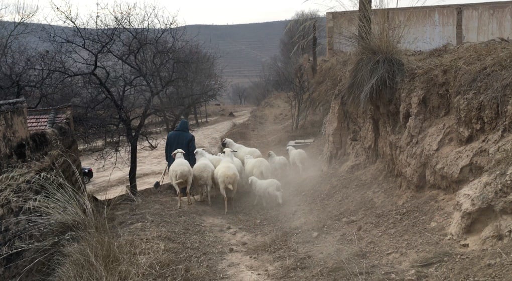 Some villagers prefer to stay put than be relocated [image by Kang Ning] 