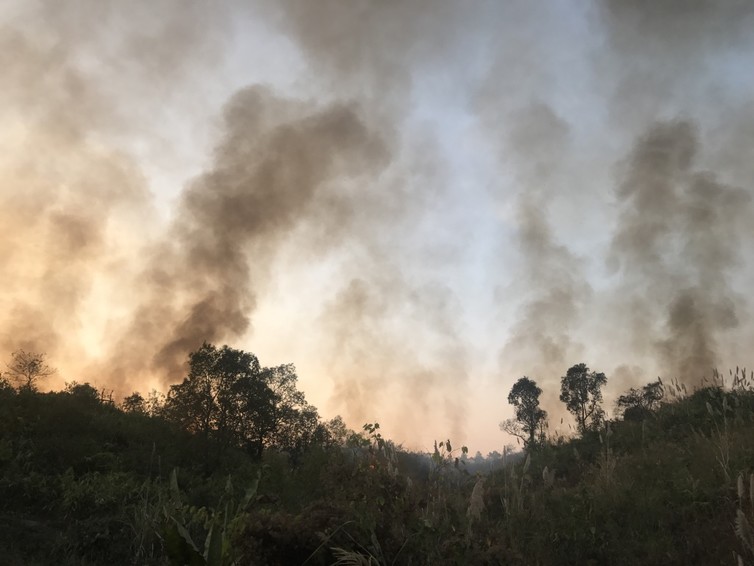 Somewhere in the Khasi Hills, bordering Bangladesh, smoke envelops the forest [image by Mirza Zulfiqur Rahman]