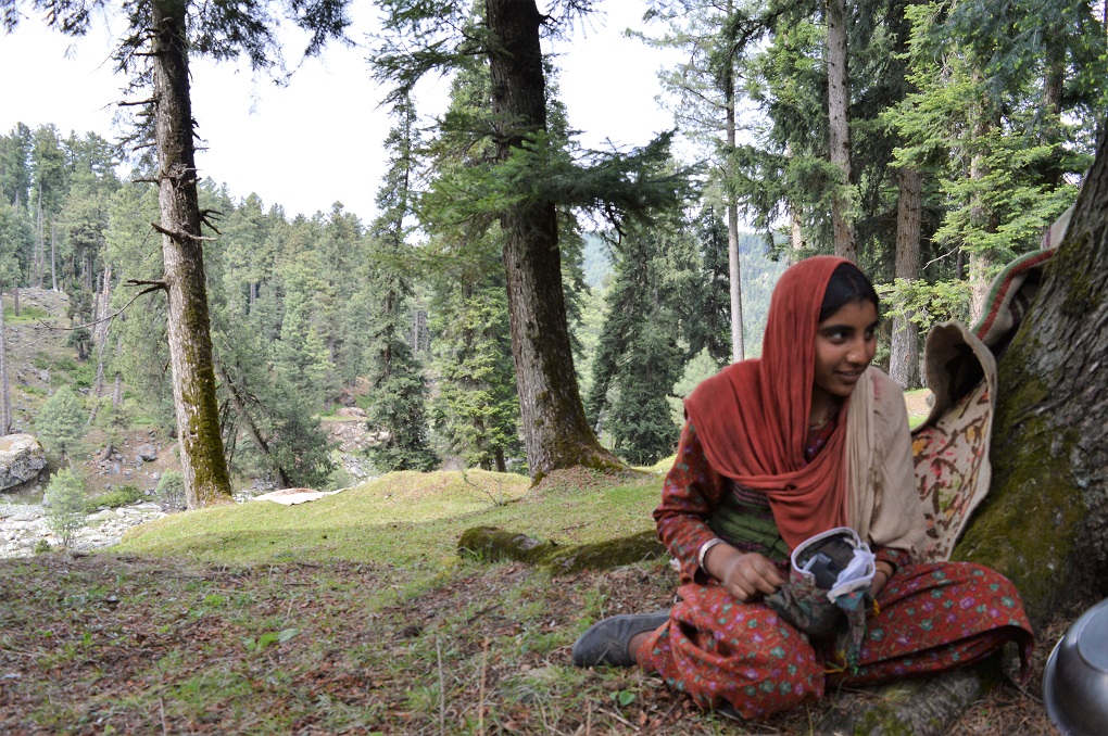Bakarwal woman sitting against a tree